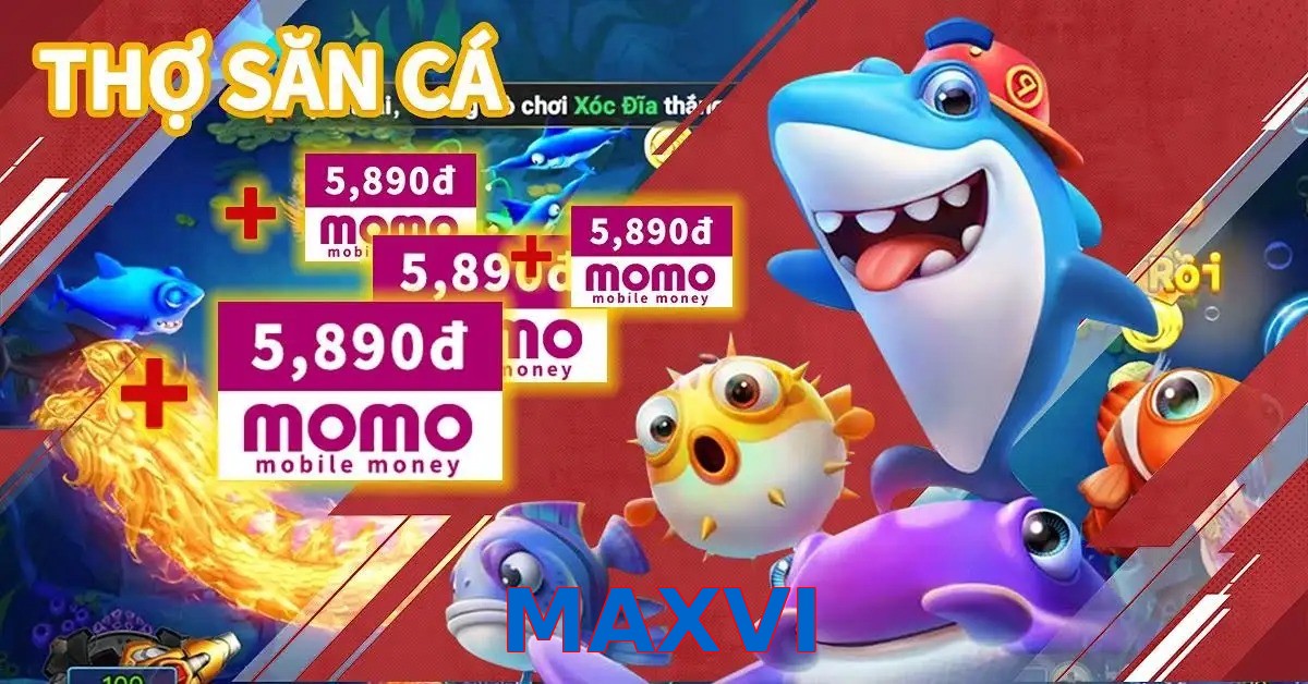 MAXVI