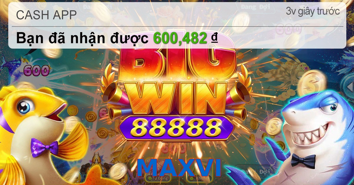 MAXVI